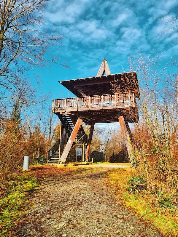 Aahorn-Turm - Image 1