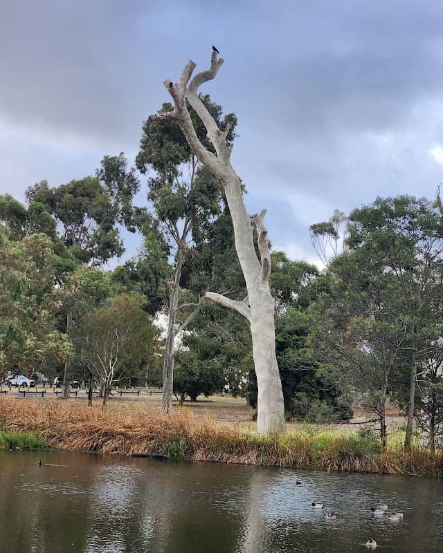 Bundoora Park Flagpoles - Image 1