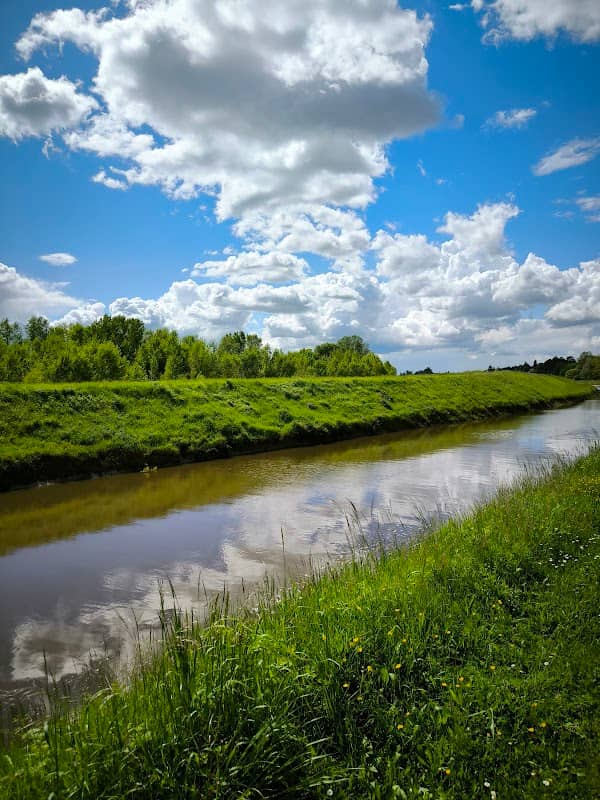 Bords de Loire - Image 2