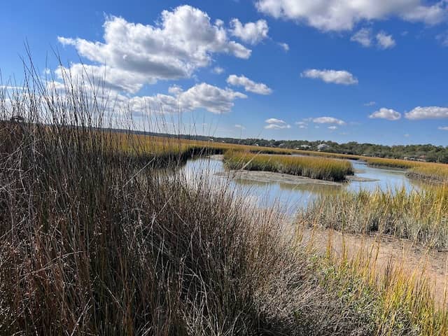 Pawleys Island Nature Park - Image 1