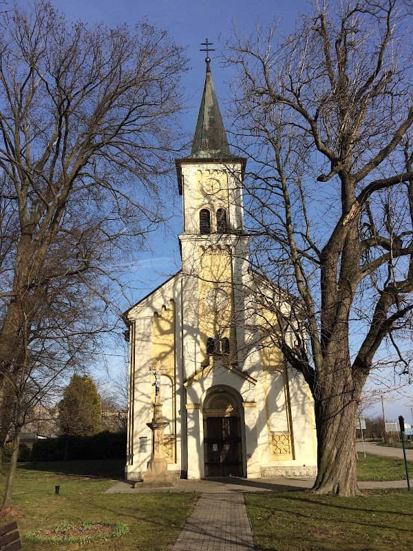 Chráněný strom - Image 1