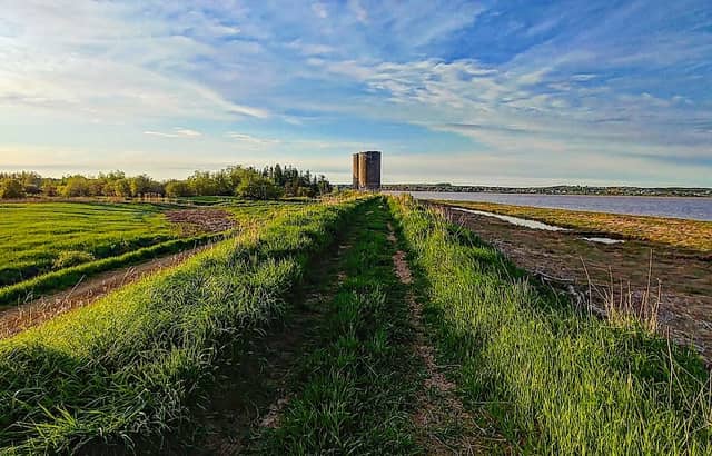 Petitcodiac Dykeland walking trails - Image 2
