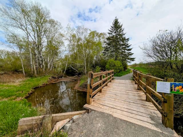 Petitcodiac Dykeland walking trails - Image 1