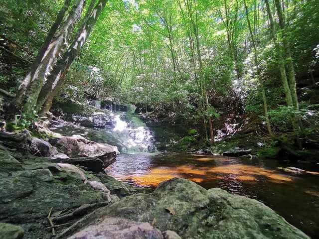 Big Laurel Falls - Image 2