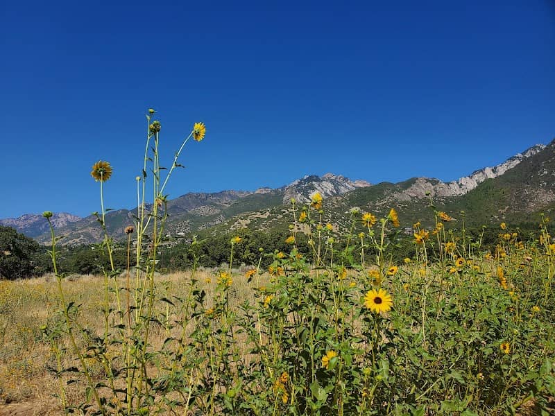 Dimple Dell Trailhead - Image 2