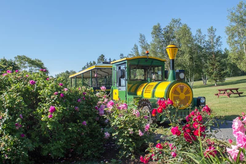 The Tatamagouche Road Train - Image 1