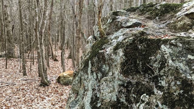 Brumley Nature Preserve Expansion - Image 1