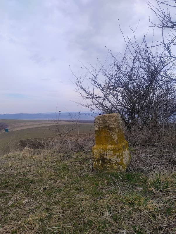 Topo - Image 1