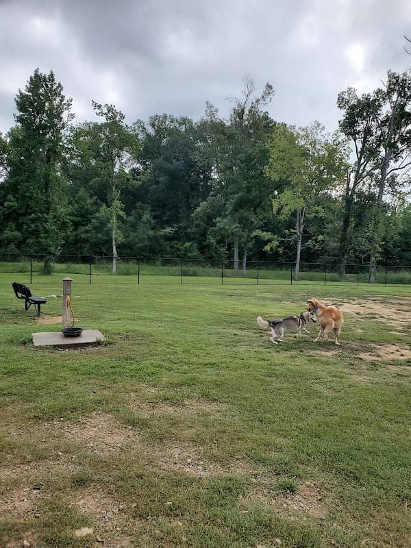 Moody Dog Park - Image 2