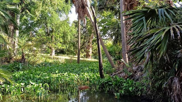 Botanical Gardens - Image 1