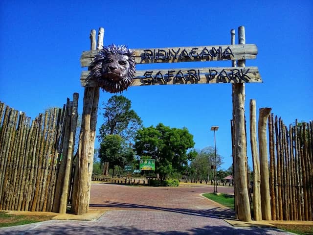Ridiyagama Safari Park - Image 1