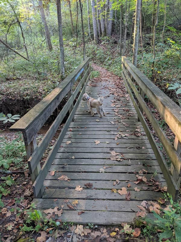 Blair Preserve - Image 3