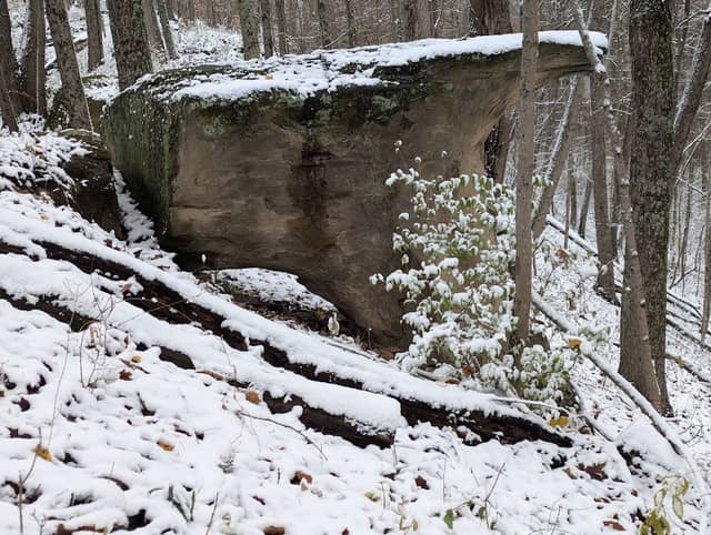 Blair Preserve - Image 2