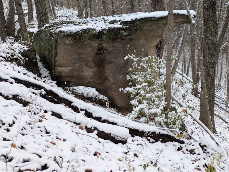 Blair Preserve - Image 2