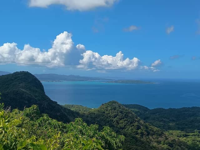View Point - Image 1