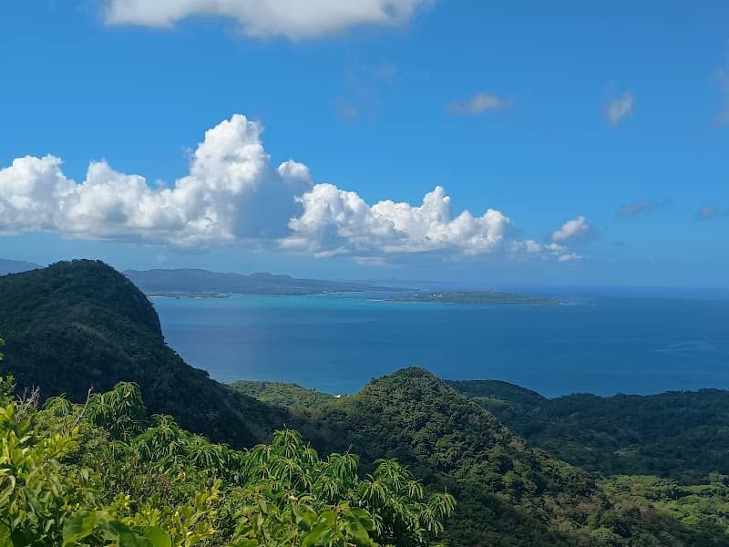 View Point - Image 1