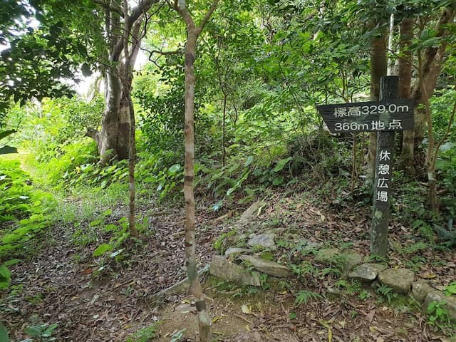 View Point - Image 2