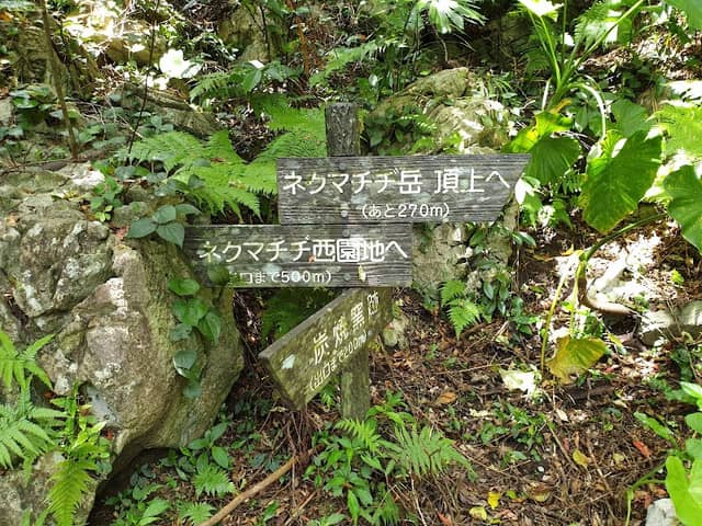 View Point - Image 3