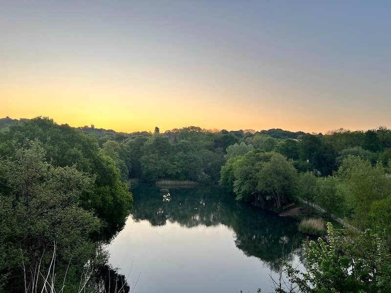 Leasowes Park - Image 1