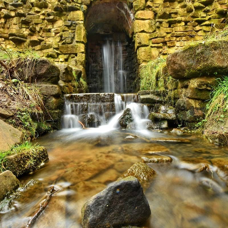 Leasowes Park - Image 2