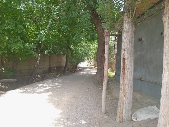 Eski Maszhid Kuchada, Archa Belgi Uchun - Image 1