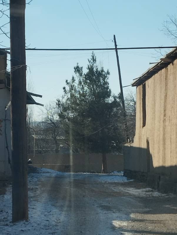 Eski Maszhid Kuchada, Archa Belgi Uchun - Image 2