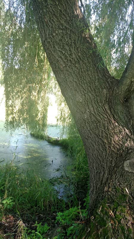 Smith Conservancy - Image 2