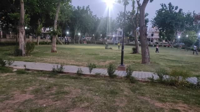 Tiger Park - Image 1