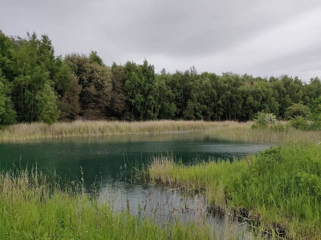 Betteshanger Park - Image 2