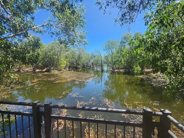 Douglas Wetlands - Image 2