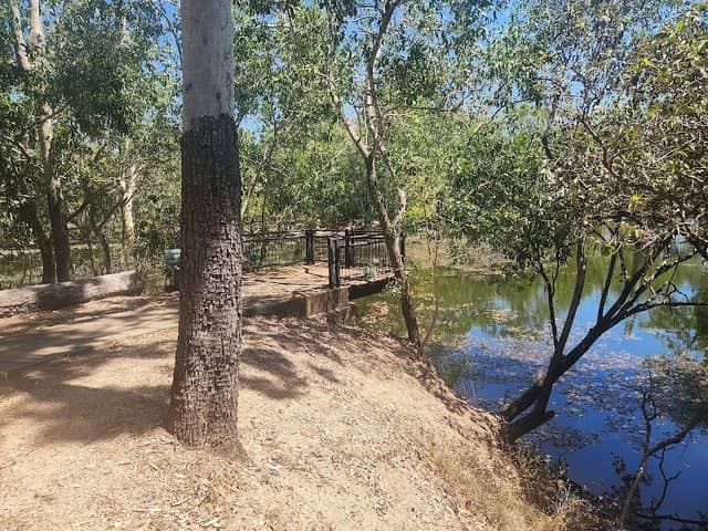 Douglas Wetlands - Image 1