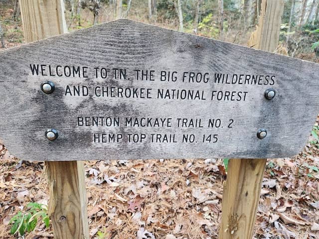 BMT STATE LINE - Image 1