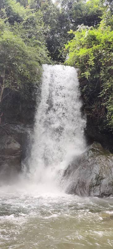 Thirikakkayam Waterfalls, Vilangad - Image 1