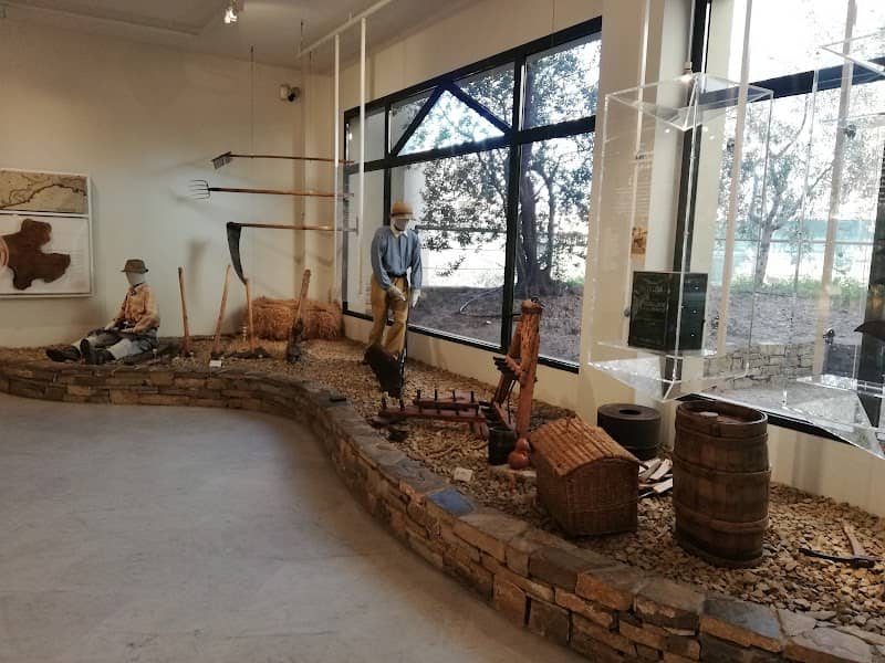 Museo dell’Olivo Carlo Carli - Image 2