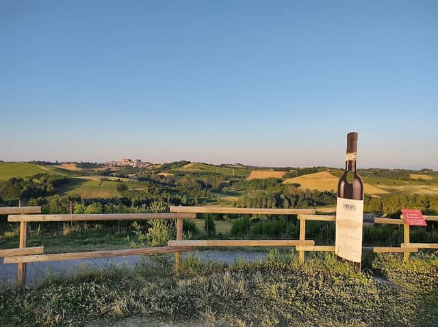 Big Bench #51 - Castagnole Monferrato - Image 1