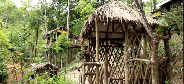 PATTABONG TREE HOUSE - Image 1