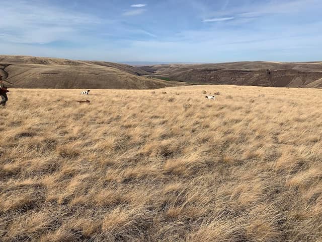 Highland Hills Ranch - Image 1