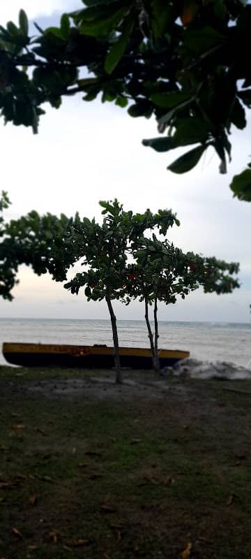 Marking Stone Beach - Image 2