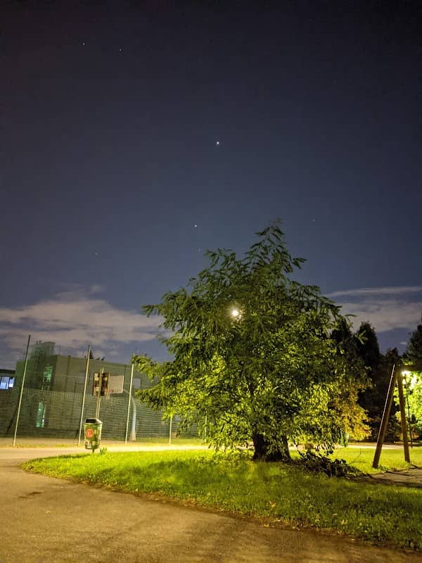 SF - Parco - Image 2