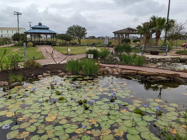 Victoria Educational Garden - Image 2