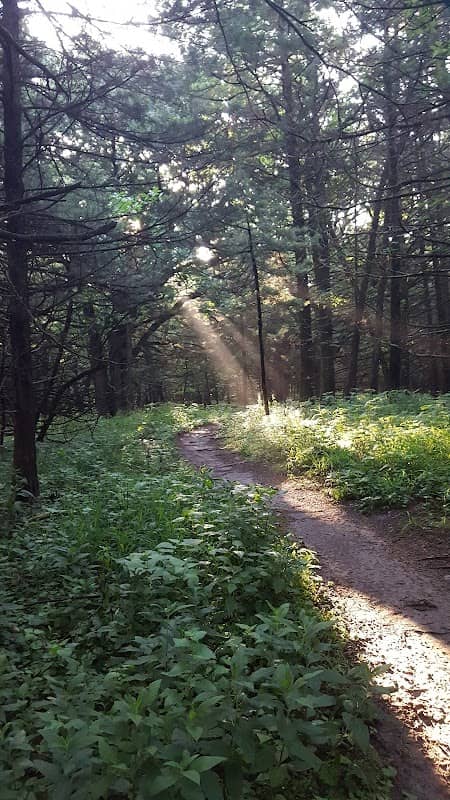 Milliken Park - Image 1