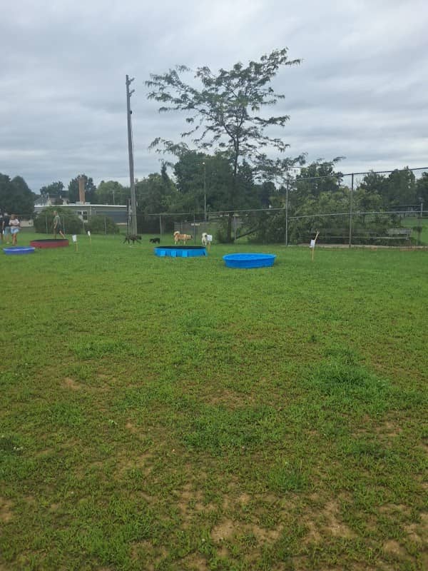 Fox Lake Dog Park - Image 1