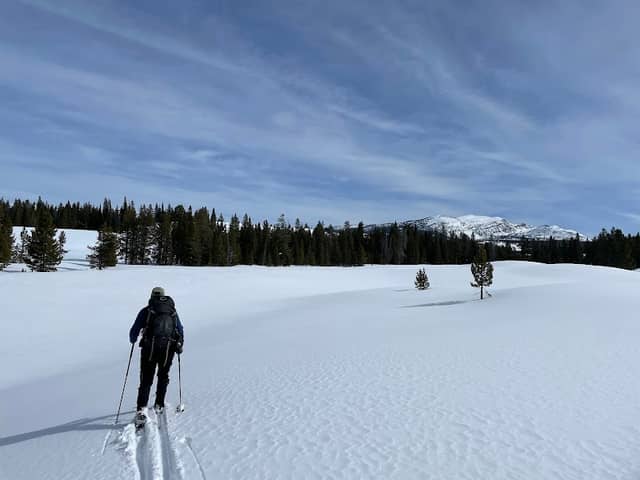 Big Sky Adventures & Tours - Image 1