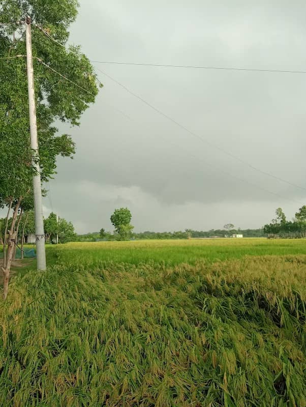 কায়েমপুর মুক্তি পাড়া । - Image 1