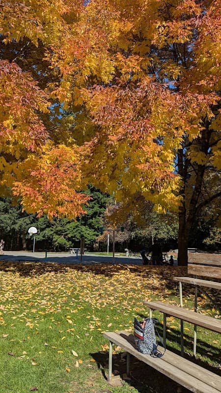 Viewlynn Park - Image 2