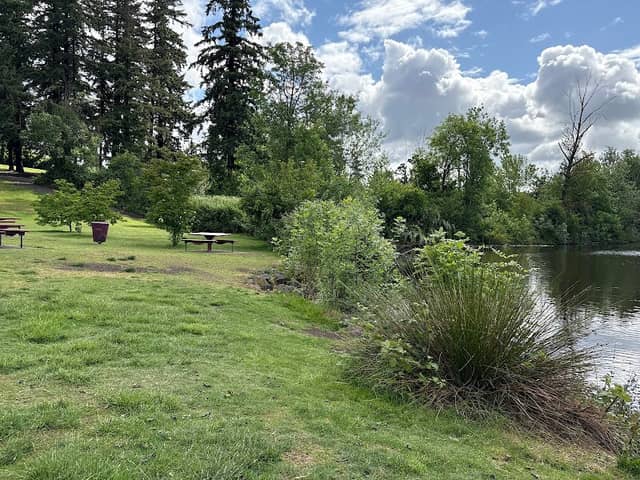 Lake Leona - Image 2