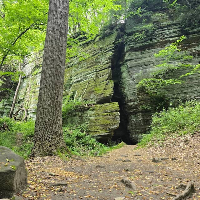 Liberty Park, Twinsburg Ledges Area - Image 1