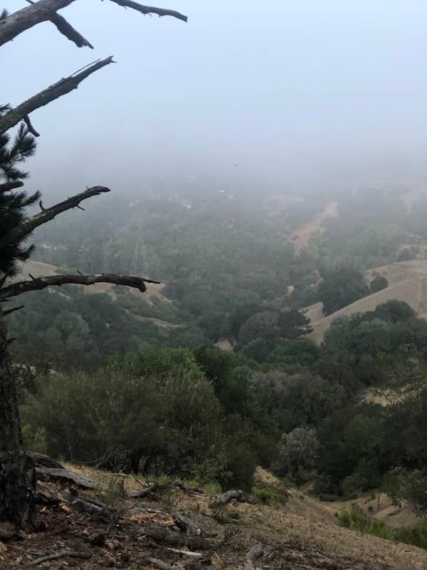 Orinda Oaks Open Space, Donald Drive Entrance - Image 2