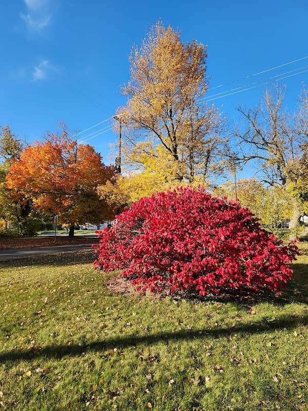 Brennan Park - Image 1