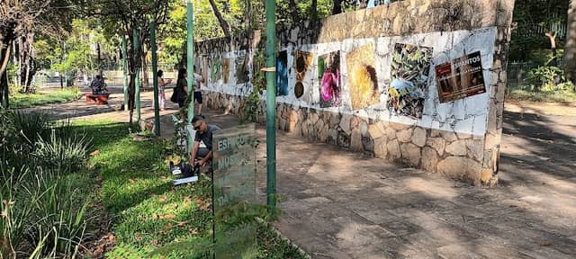 Galeria da Árvore - Image 1